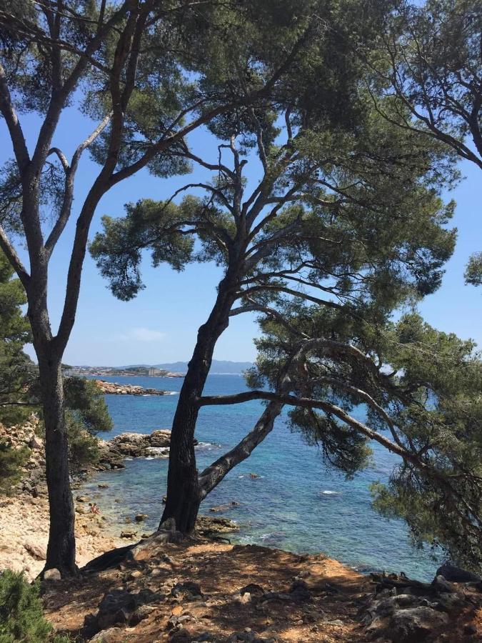 Villa Cocody Bandol Exterior photo